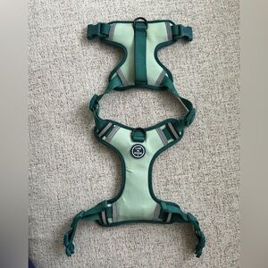 Life Is Good Mint Green Mesh Dog Harness